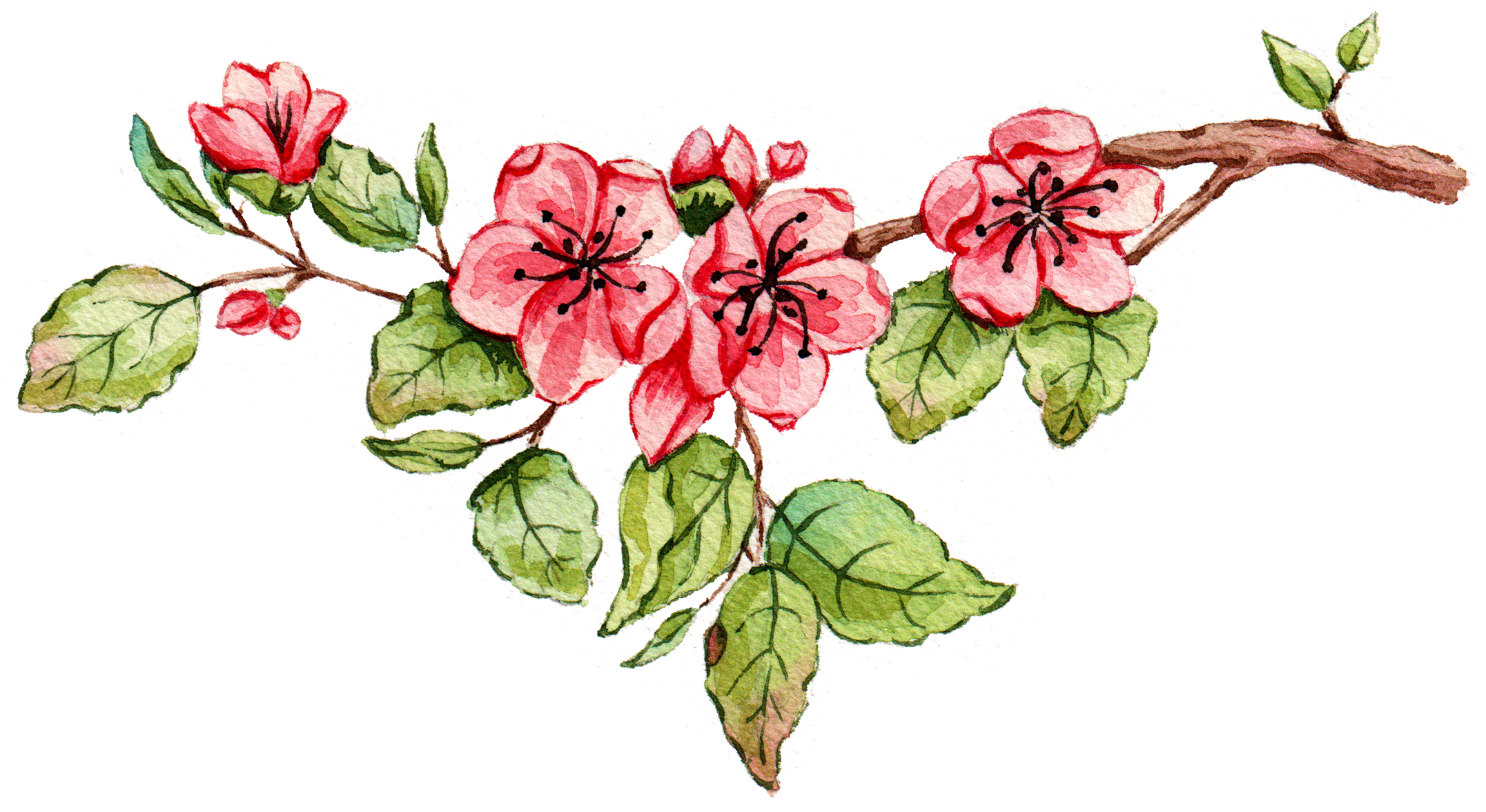 Aqua-Minis, kleine Aquarell Projekte für Anfänger