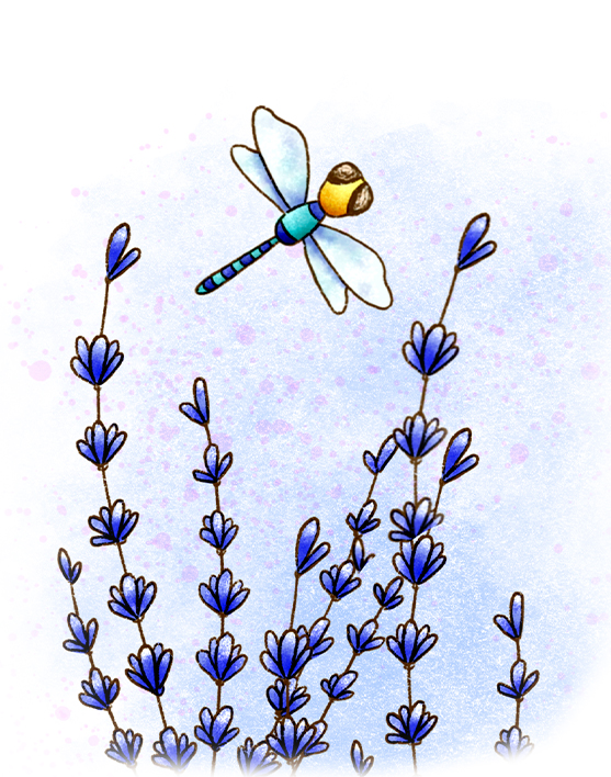 Illustrieren lernen in Procreate