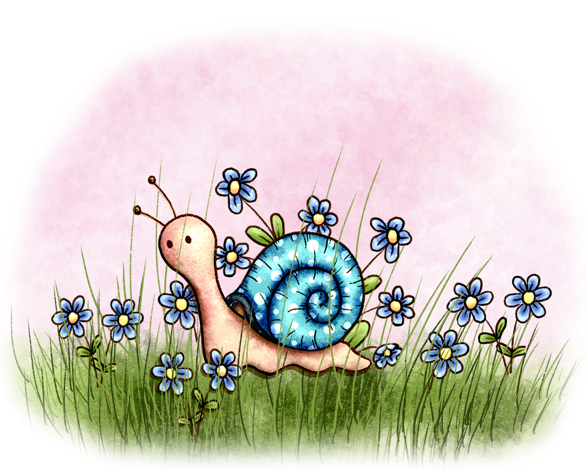 Schnecke Illustration Procreate von Regina Dambeck